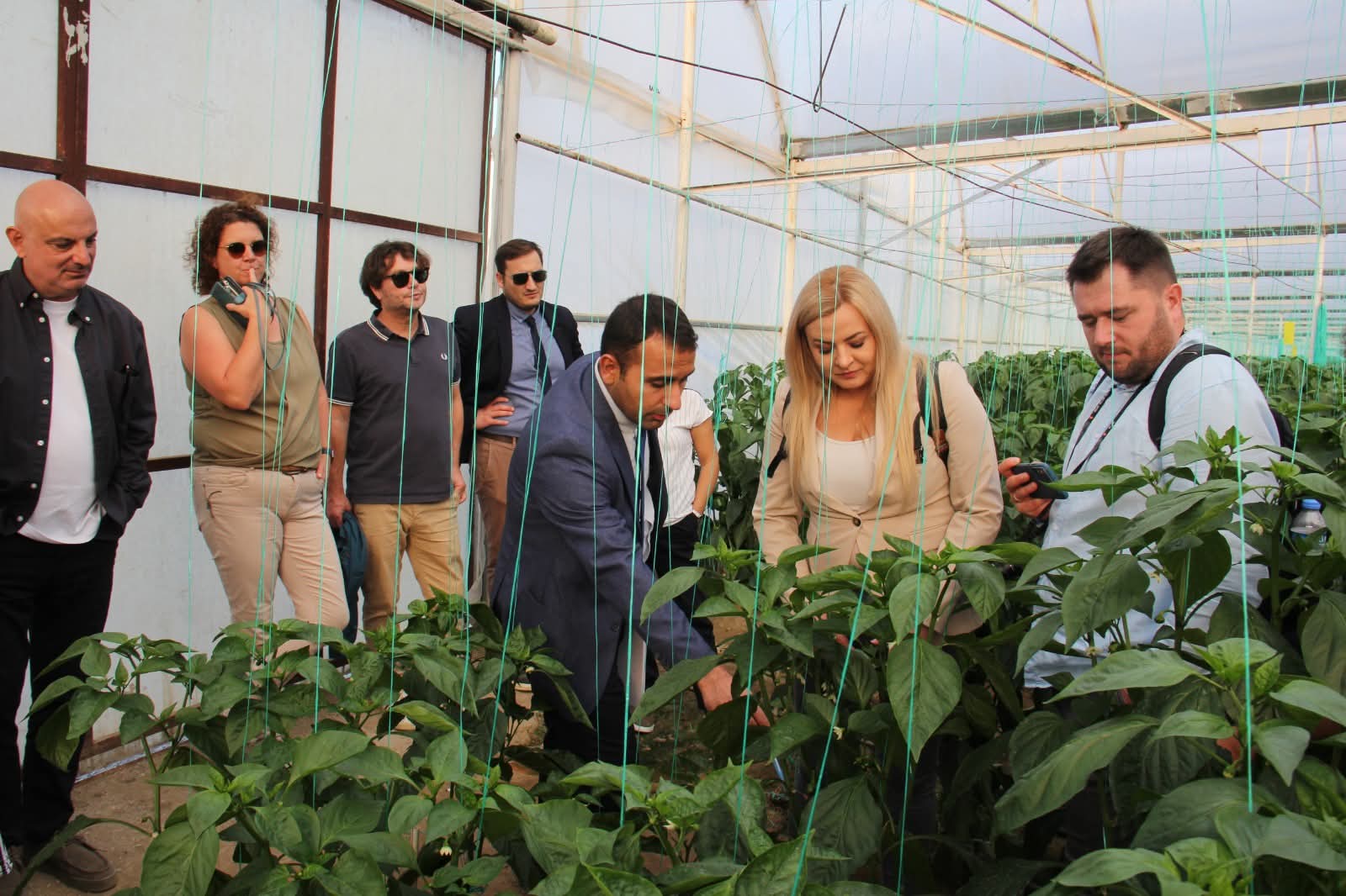 Yeminli tercüman Antalya Muratpaşa ofisinde çalışırken